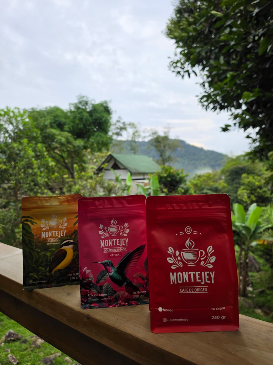 Café Montejey en la finca de Montebello