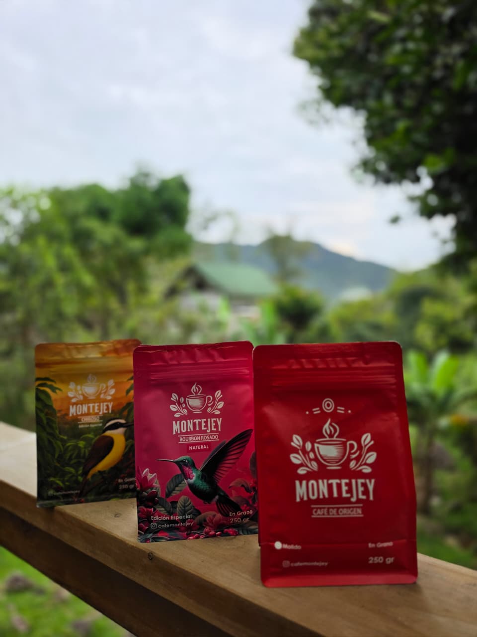 Café Tradicional / Castillo 1 lb